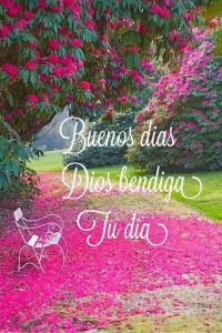 Frases de amor de los buenos días