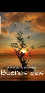 Frases De Amor De Los Buenos Dias Para Celular