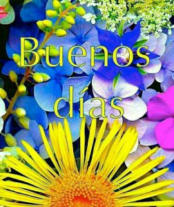 Frases De Amor De Los Buenos Dias Para Whatsapp