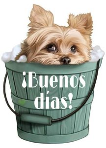 Frases De Amor Para Dar Buenos Dias Para Una Amiga