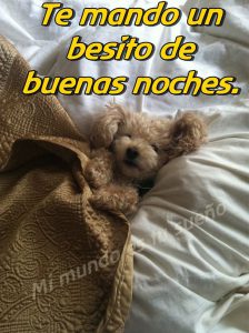 Frases de amor para dar las buenas noches para celular
