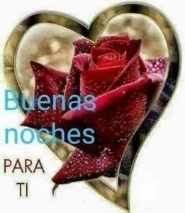 Frases De Amor Para Decir Buenas Noches