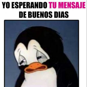 Frases De Amor Para Desear Buenos Dias Para Mi Amor