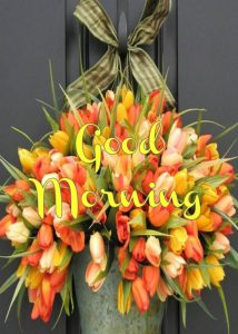 Frases De Amor Y De Buenos Dias Para Celular