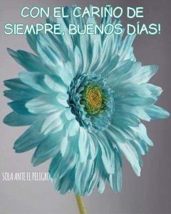 Frases De Amor Y De Buenos Dias Para Descargar