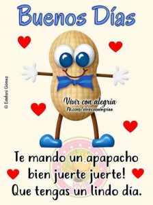 Frases de amor y de buenos días para WhatsApp
