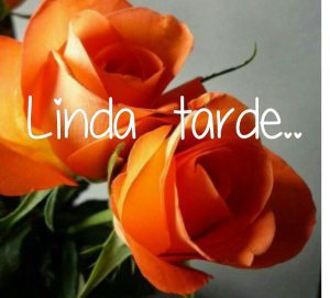 Frases De Bonita Tarde Para Facebook Y Whatsapp