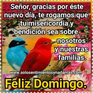 Frases De Buen Domingo Para Celular