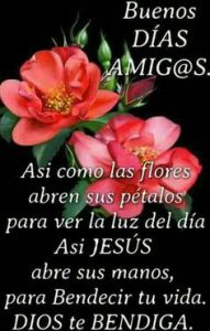 Frases De Buenas Noches Hermosas Para Celular