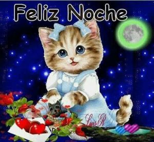 Frases De Buenas Noches Para Amigos Para Whatsapp