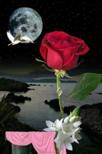 Frases De Buenas Noches Para El Amor De Tu Vida Para Facebook