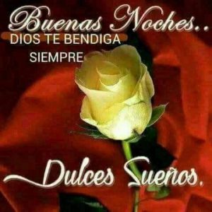 Frases de buenas noches para mi amor