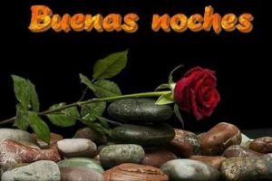 Frases De Buenas Noches Para Mi Novia Para Whatsapp