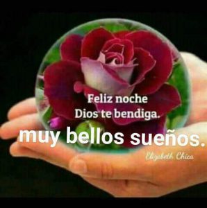 Frases De Buenas Noches Para Todos Para Celular