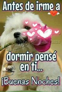 Frases de buenas noches para todos para Facebook