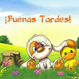 Frases De Buenas Tardes Amor Para Facebook Y Whatsapp