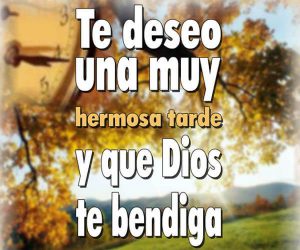 Frases De Buenas Tardes Bonitas Para Whatsapp Celular