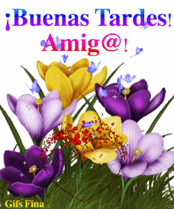 Frases de buenas tardes gif animadas