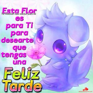 Frases de buenas tardes mi amor para Facebook y WhatsApp