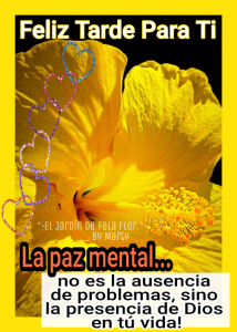 Frases De Buenas Tardes Para Amigos Para Facebook Y Whatsapp