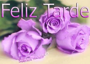 Frases De Buenas Tardes Para Amigos Para Whatsapp Celular