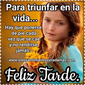 Frases De Buenas Tardes Para Enamorar Para Whatsapp Celular