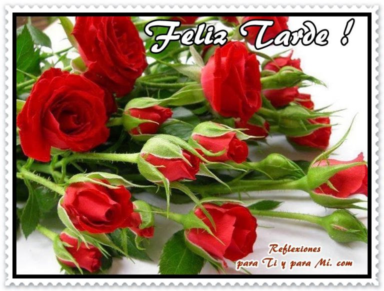 Frases De Buenas Tardes Para Facebook Para Facebook Y Whatsapp