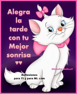 Frases De Buenas Tardes Para Mi Amor Para Facebook Y Whatsapp
