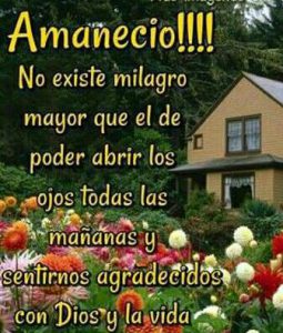 Frases De Buenos Dias