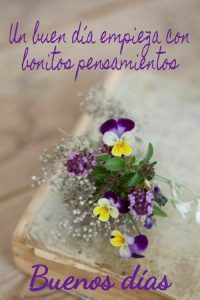 Frases De Buenos Dias A La Vida Para Celular