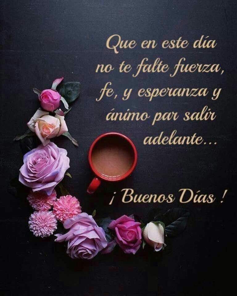 Frases De Buenos Dias A La Vida Para Whatsapp