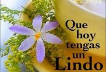 Photo of Frases De Buenos Dias Amor Con Imagenes