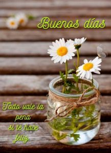 Frases De Buenos Dias Amor Para Mi Amor