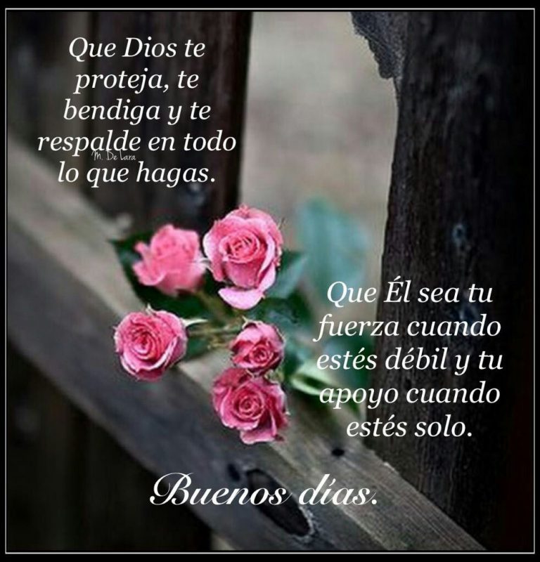 Frases De Buenos Dias Amor Para Whatsapp