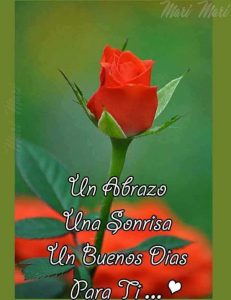 Frases de buenos días cariñosas para celular