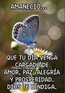 Frases de buenos dias con cariño para WhatsApp