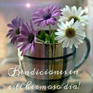 Frases De Buenos Dias Hermosa Para Celular