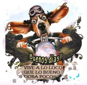 Frases De Buenos Dias Hermosa Para Mi Amor