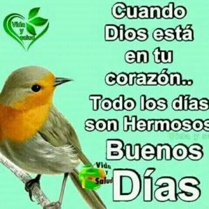 Frases De Buenos Dias Lindas