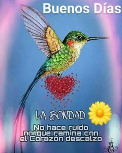 Frases De Buenos Dias Para El Amor Para Celular