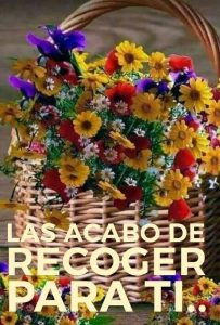 Frases De Buenos Dias Para El Amor Para Descargar