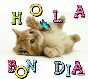 Frases De Buenos Dias Para Mi Novia Para Celular