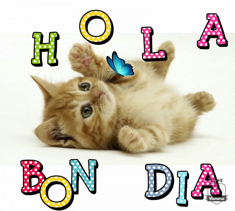 Frases De Buenos Dias Para Mi Novia Para Celular