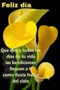 Frases de buenos días para mi novia para WhatsApp