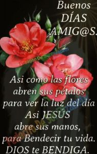 Frases De Buenos Dias Para Un Amor Para Descargar