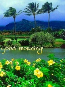 Frases De Buenos Dias Y Amor Para Facebook