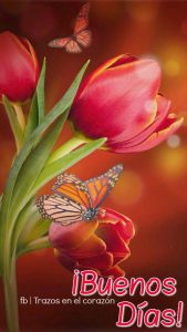 Frases De De Buenos Dias
