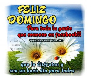 Frases De Domingo Bonitas Para Celular