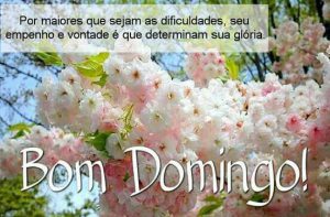 Frases De Domingo Divertidas Para Celular