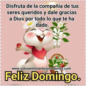 Frases De Feliz Dia Domingo Para Celular